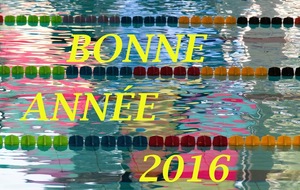 Très Bonne Année 2016 !