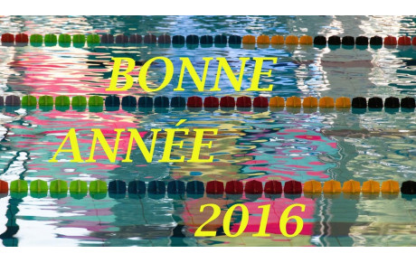 Très Bonne Année 2016 !